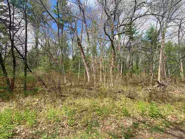 Arkdale, WI 54613,Lot 3 & 6 E 16th Ln