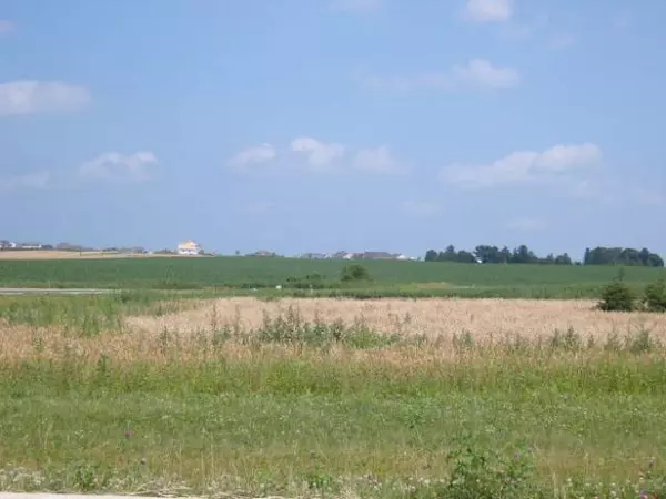 Sun Prairie, WI 53590,L116 Florance Ruth Lane