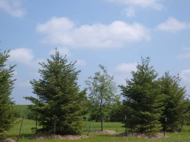 Sun Prairie, WI 53590,6702 Wagners Vineyard Trail