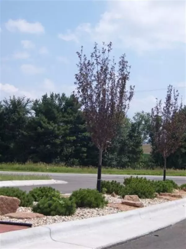 Sun Prairie, WI 53590,L177 Wagners Vineyard Trail