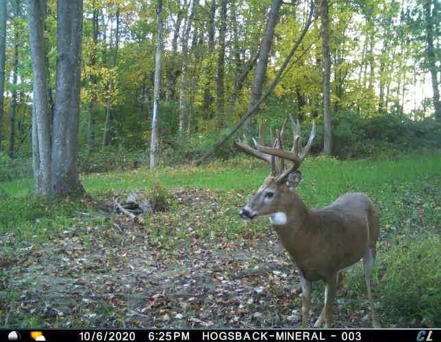 Steuben, WI 54657,24745 Heisz Rd