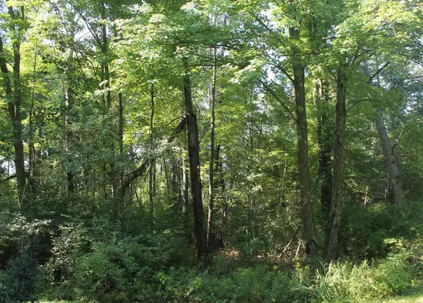 Montello, WI 53949-0000,Parcel A Deer Run