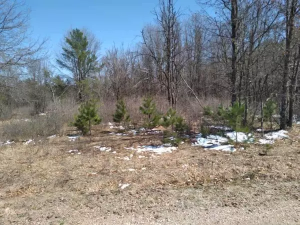 Hancock, WI 54943,Lot 18 W 6th Drive