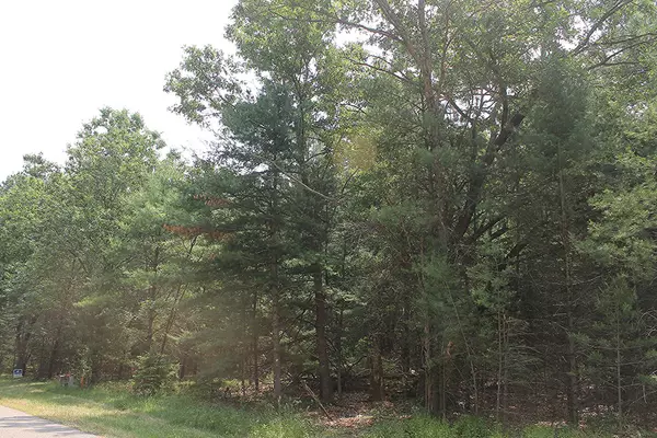 Westfield, WI 53964-0000,Lot 7 Dahlke Drive