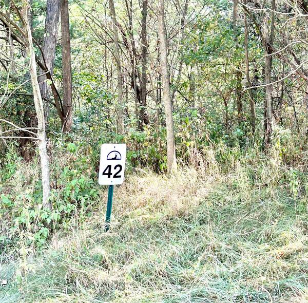 L42 Glen Becker Trail,  Wisconsin Dells,  WI 53965