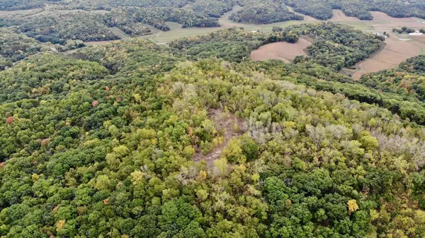 Sparta, WI 54656,000 Fantail Avenue