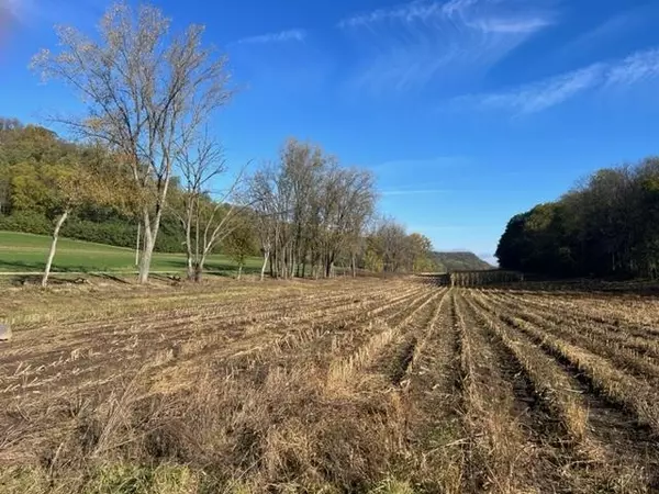 Arena, WI 53503,00 Coon Rock Road