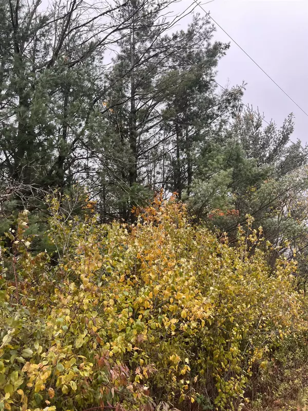 0.19A SHANGRILA Lane, Wautoma, WI 54982