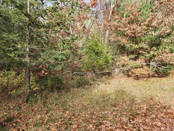 Wisconsin Dells, WI 53965,Lot 62 S Fur Drive