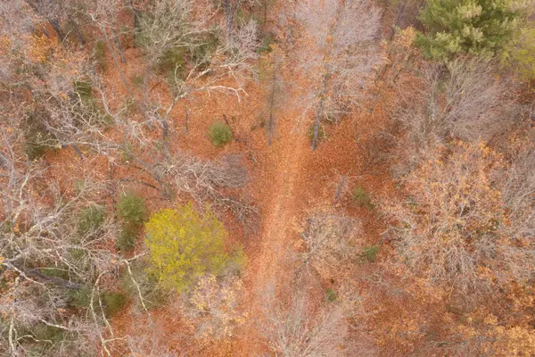 Necedah, WI 54646,Lot 2 20th Drive