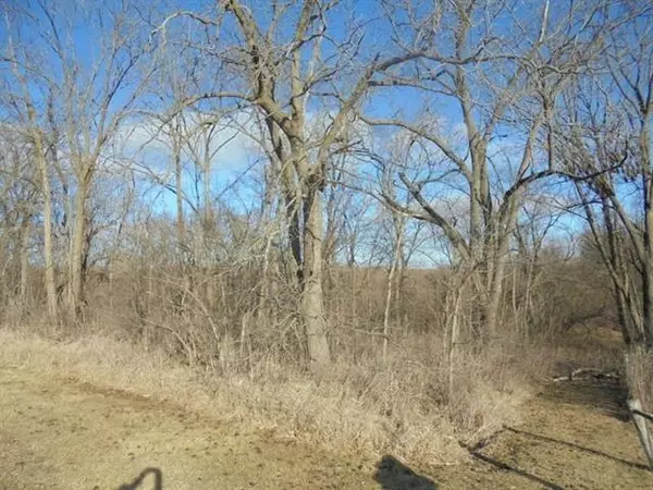 South Wayne, WI 53587,1 Ac Larson Road