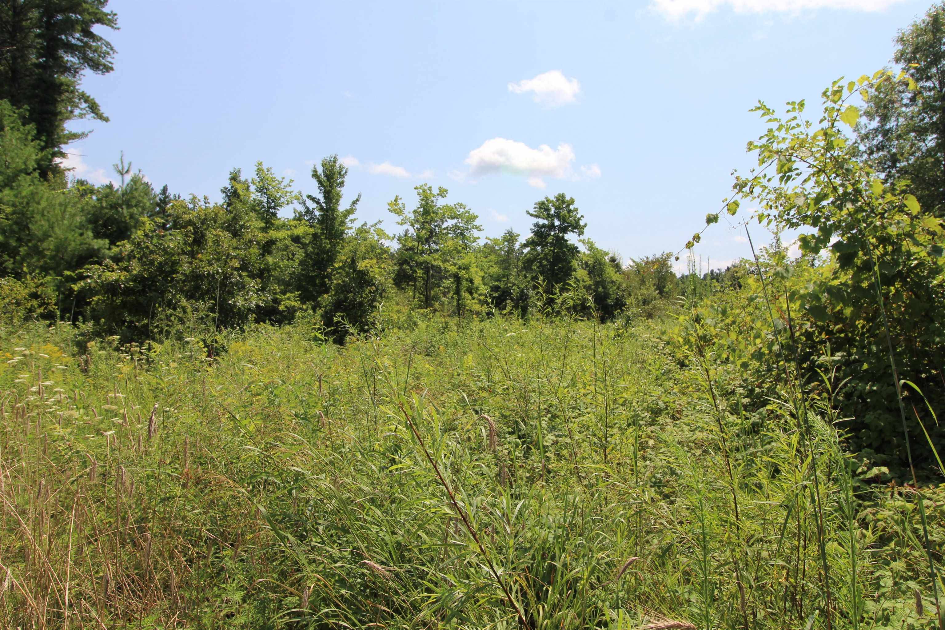 Spring Green, WI 53588,L1 White Pine Way