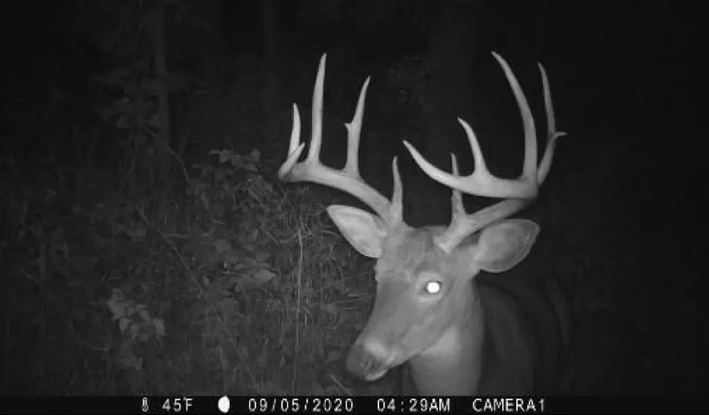 37.75 Ac Highway 130, Hillpoint, WI 53937