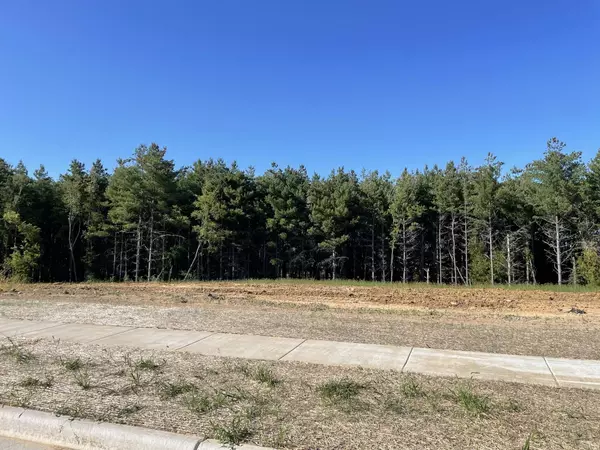 L62 Monica Court, Belleville, WI 53508