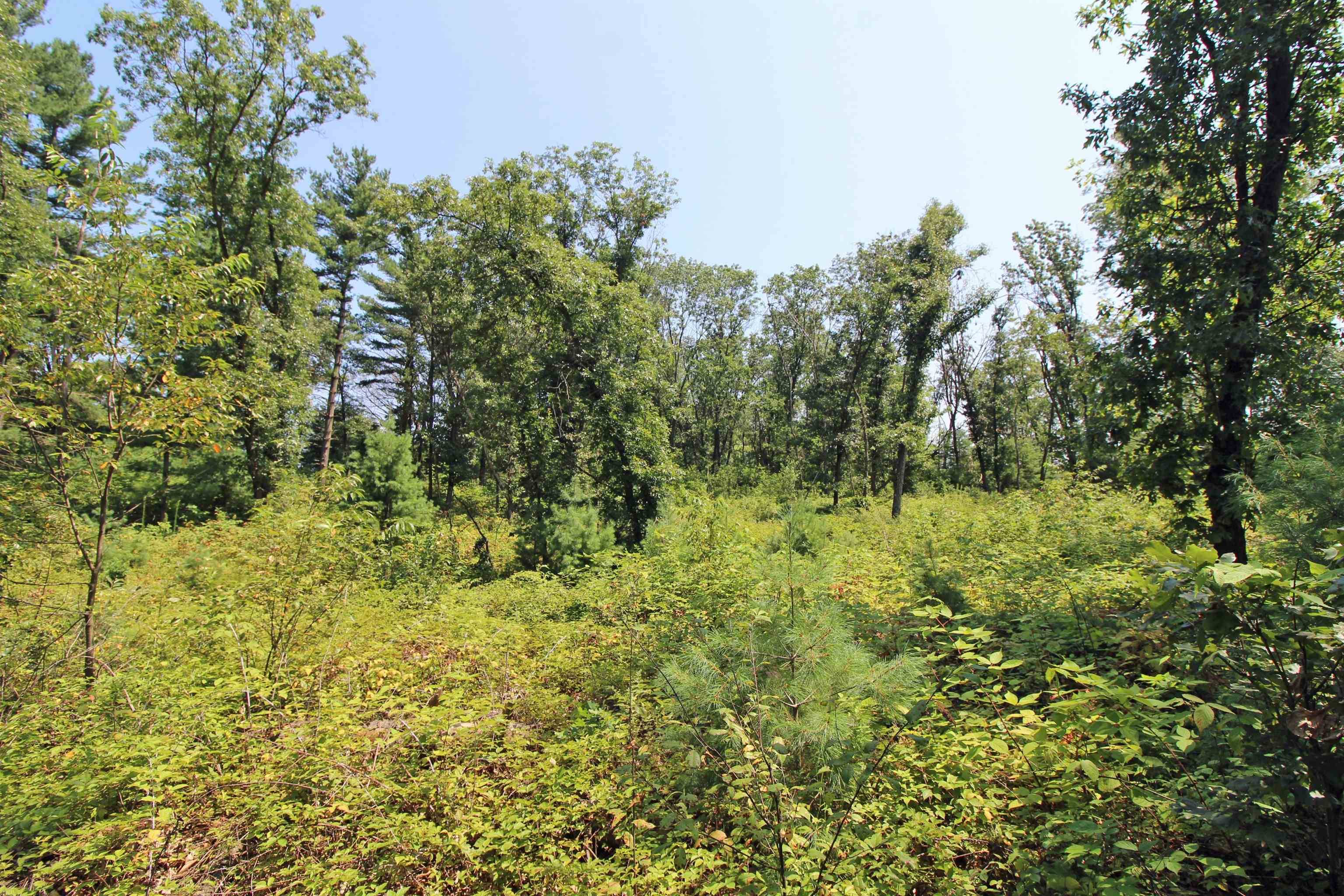 Spring Green, WI 53588,Lot14 Timber Trail