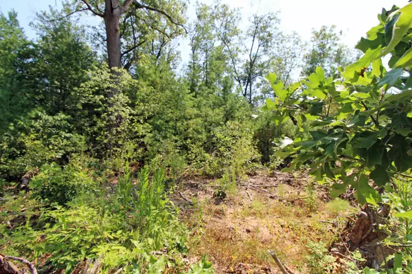 Spring Green, WI 53588,Lot14 Timber Trail