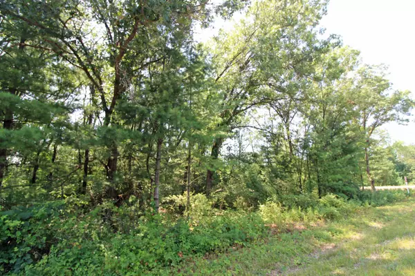 Lot14 Timber Trail,  Spring Green,  WI 53588
