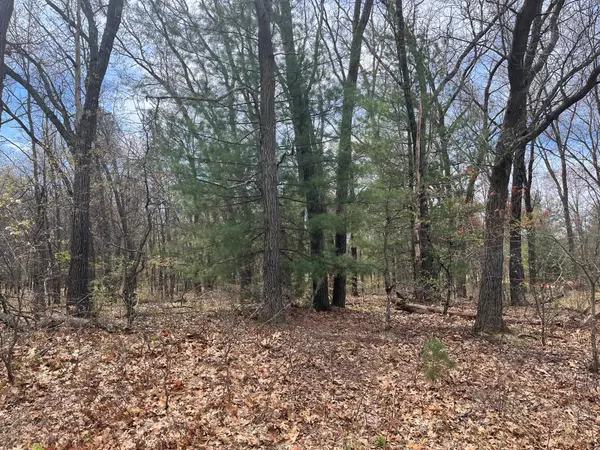 Friendship, WI 53934,L39 S Duck Creek Avenue