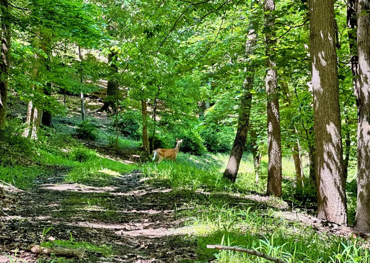 Mcgregor, IA 52157,8.53 acres Marquette Drive