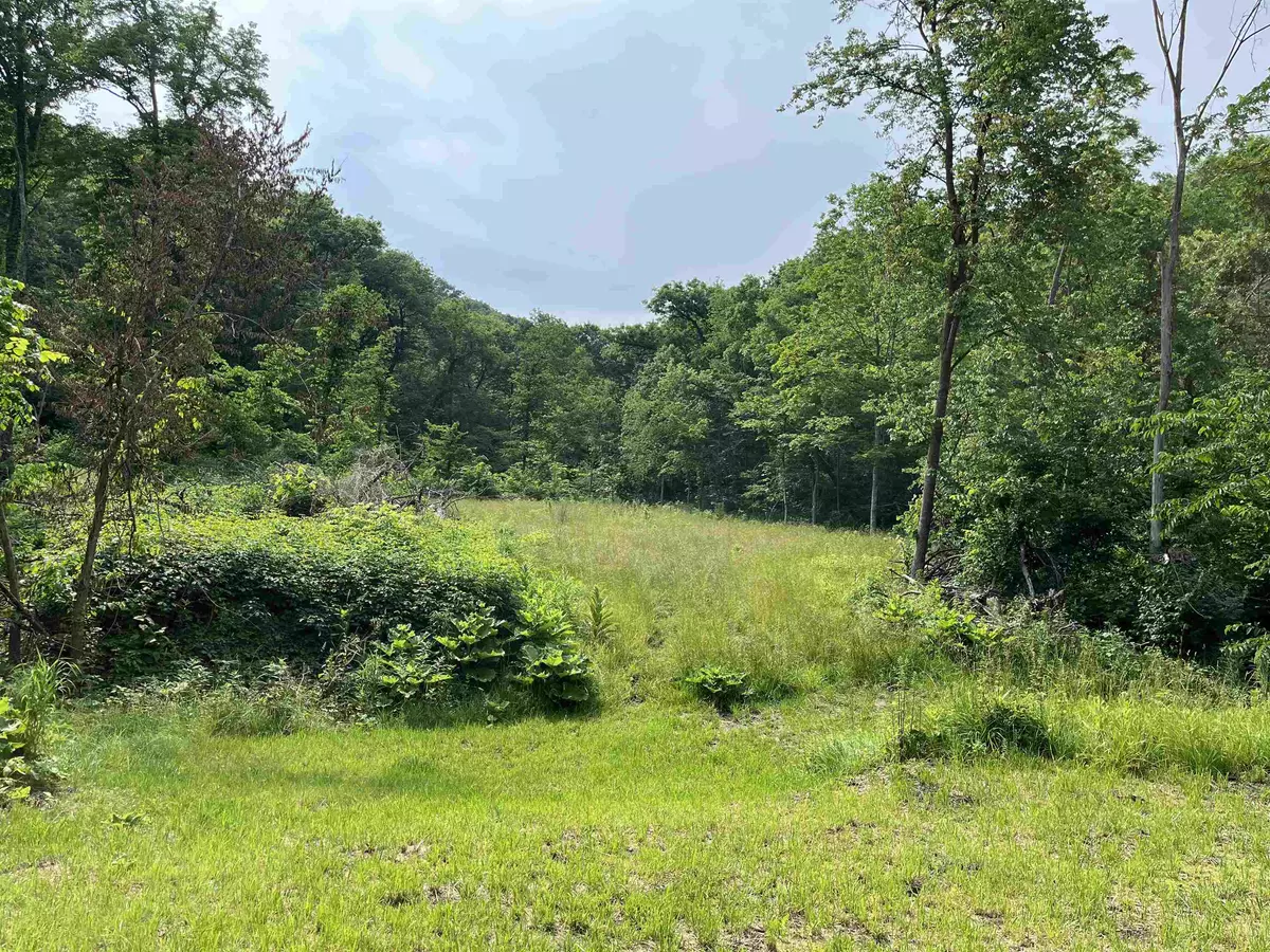 Ferryville, WI 54628,10.13 AC Deer Valley Trail