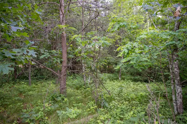 New Lisbon, WI 53950,Lot 42 Sioux Lane