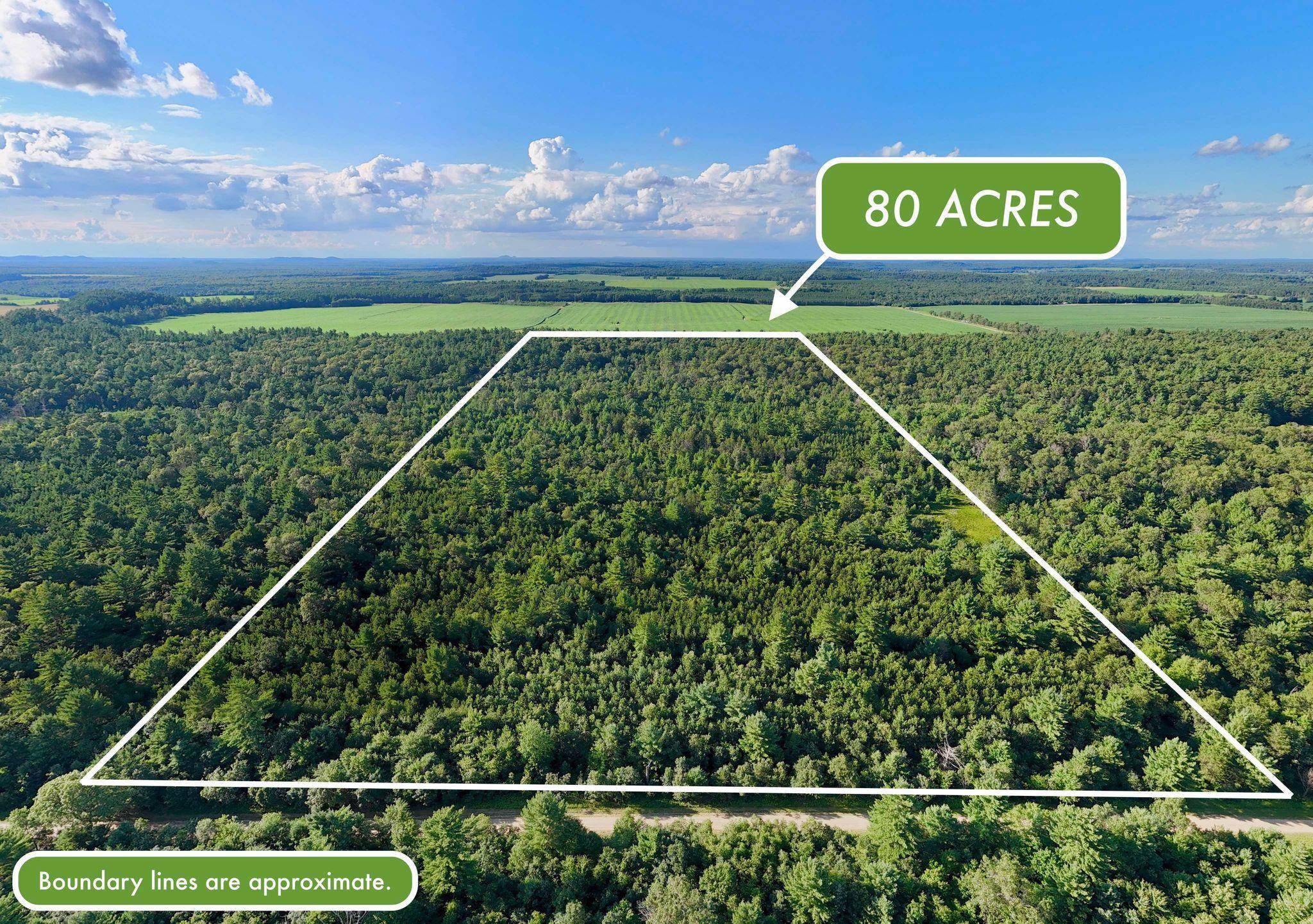 80 Acres Freedom Avenue, Wisconsin Dells, WI 53965