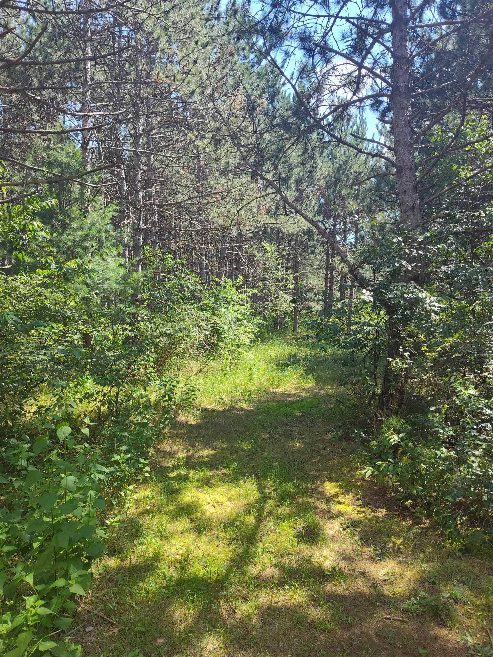 Arkdale, WI 54613,Lot 114 County Road Z
