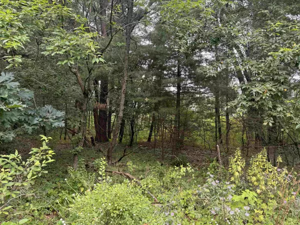 0.46 AC Busse Lane, Lake Delton, WI 53940