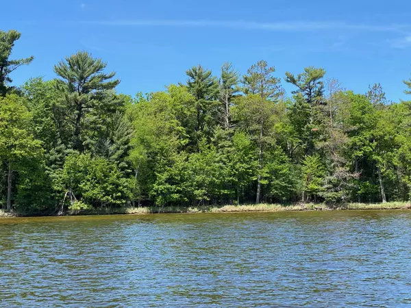 Other, WI 54463,Sabinois Point