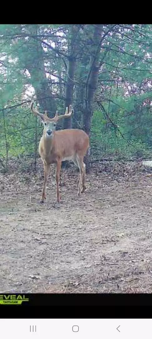 Neshkoro, WI 54960-0010,N8694 HIGHWAY 22