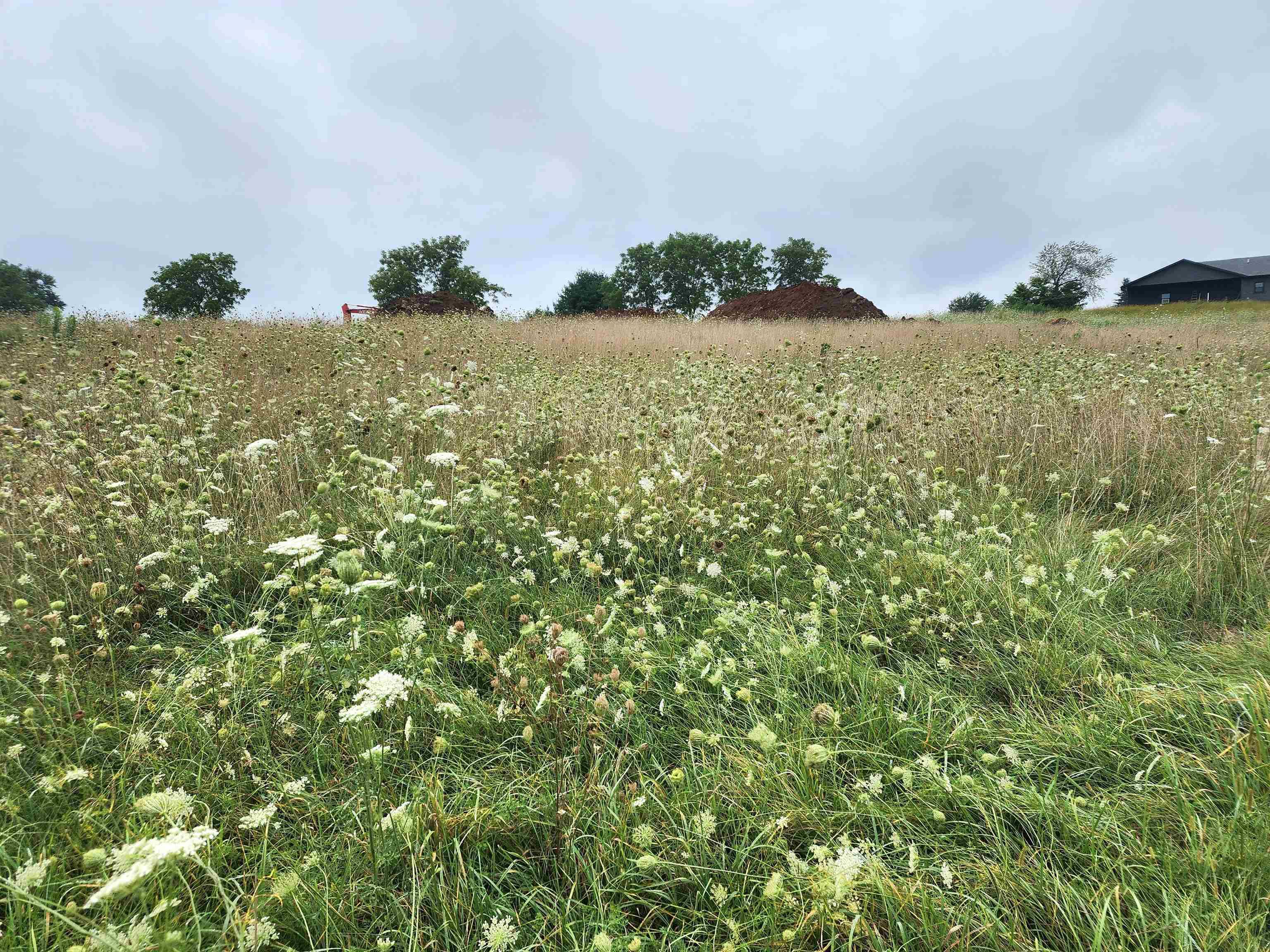 Platteville, WI 53818,Lot 4 Dreamr Court