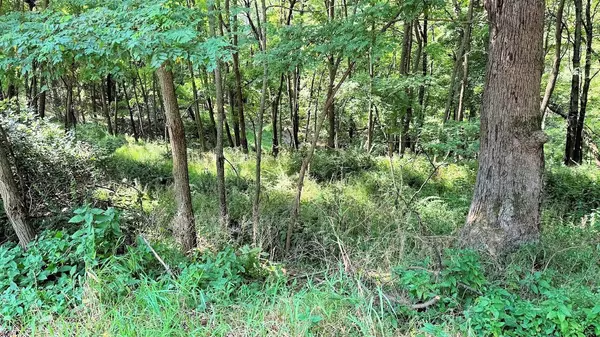 58 Redhawk Trail, Baraboo, WI 53913