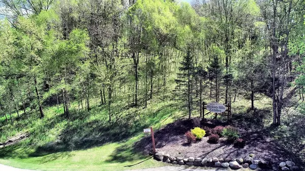 Baraboo, WI 53913,50 Blueberry Ridge