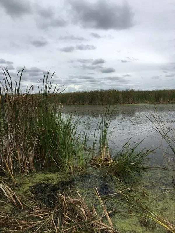 Green Lake, WI 54941-0000,20 acres Huckleberry Road