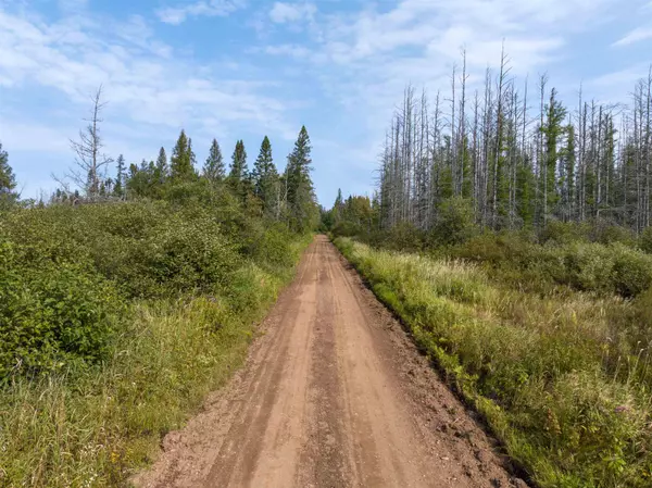 Glidden, WI 54527,000 Kinney Road