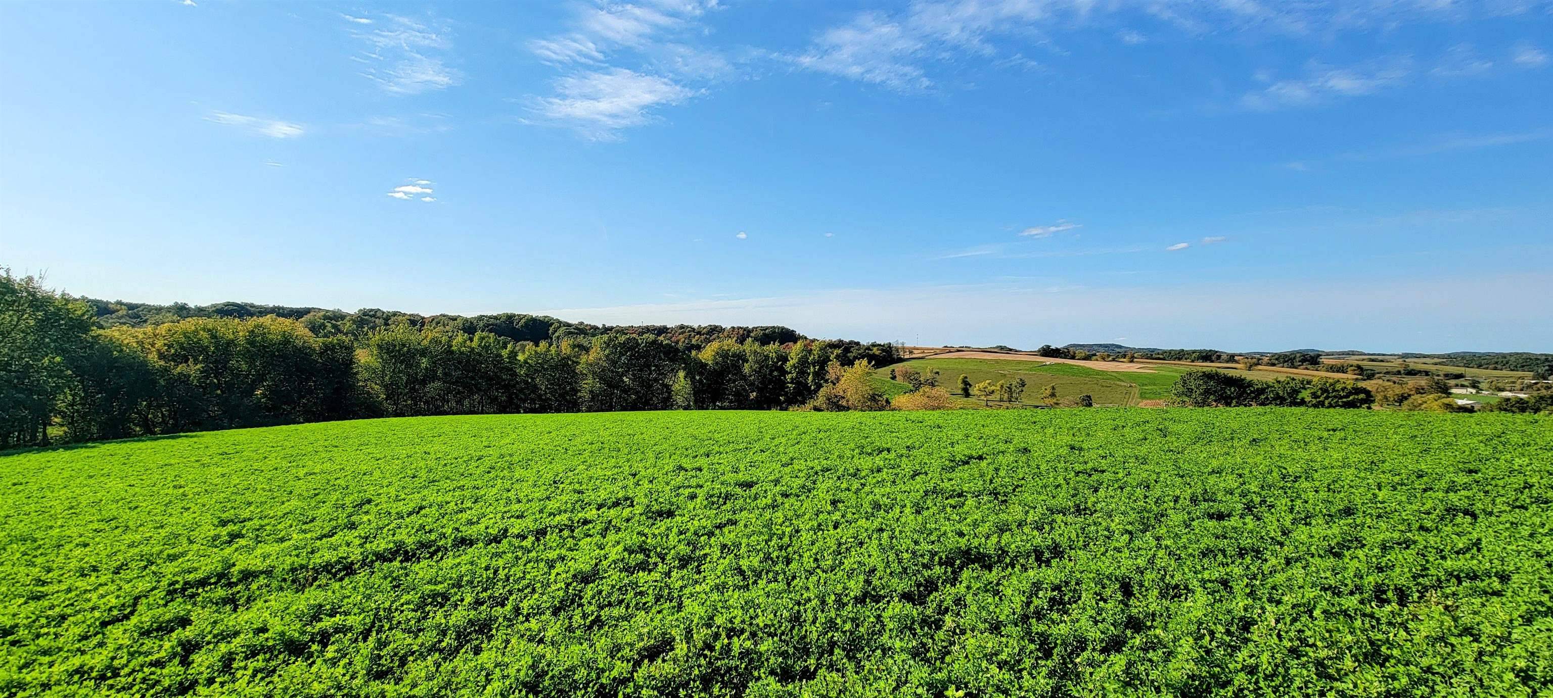 Tomah, WI 54660,Lot 12 Hemmingford Avenue