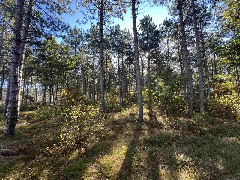 2.48 Acres 10th Avenue, Nekoosa, WI 54457