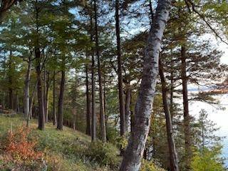 Green Lake, WI 53946,L2 Oakwood Avenue