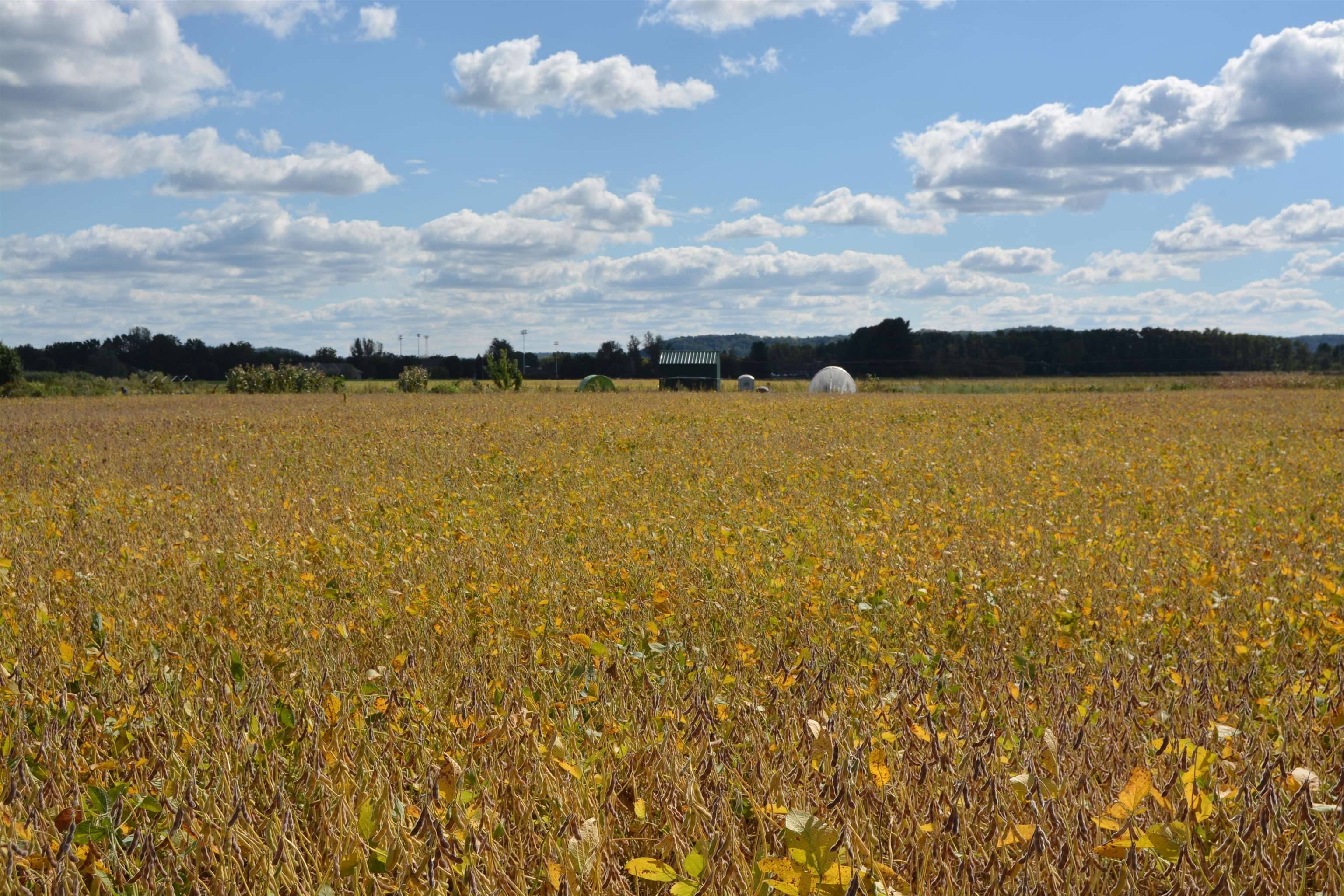 Spring Green, WI 53588,Lot 25 Sommerset Road