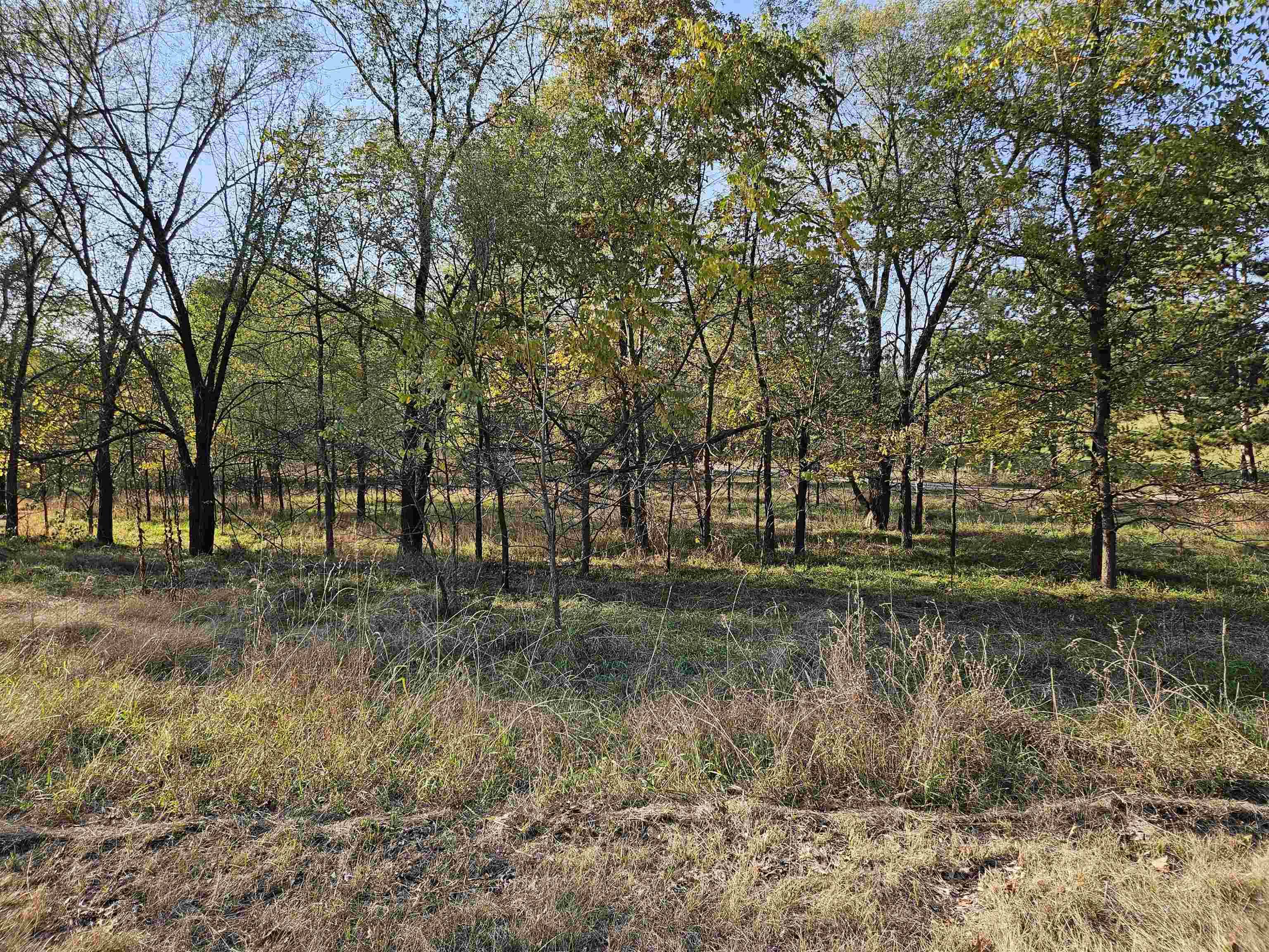 Oxford, WI 53952,.53 Ac N 2nd Court