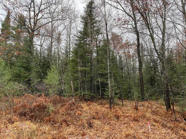 Moen Lake Drive, Rhinelander, WI 54501
