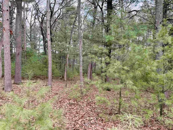 Lyndon Station, WI 53944,W1534 Buffalo Trail