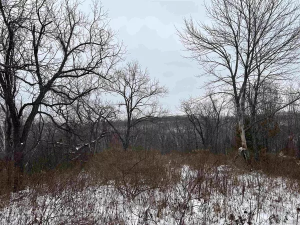 Prairie Du Chien, WI 53821,TBD 10 Acres Old Country Lane