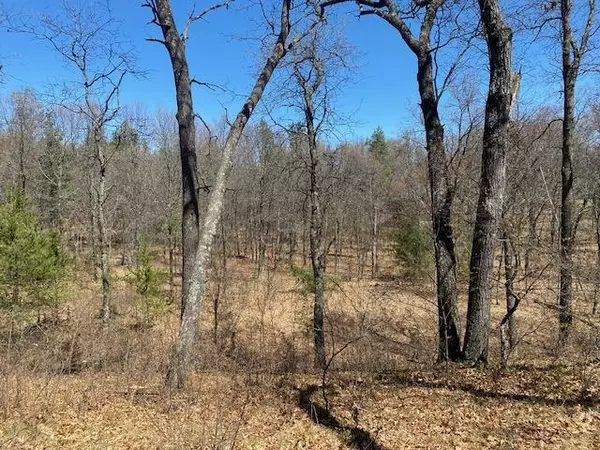 Nekoosa, WI 54457,1168 Fairway Trail