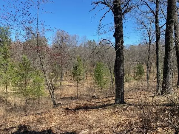 Nekoosa, WI 54457,1168 Fairway Trail