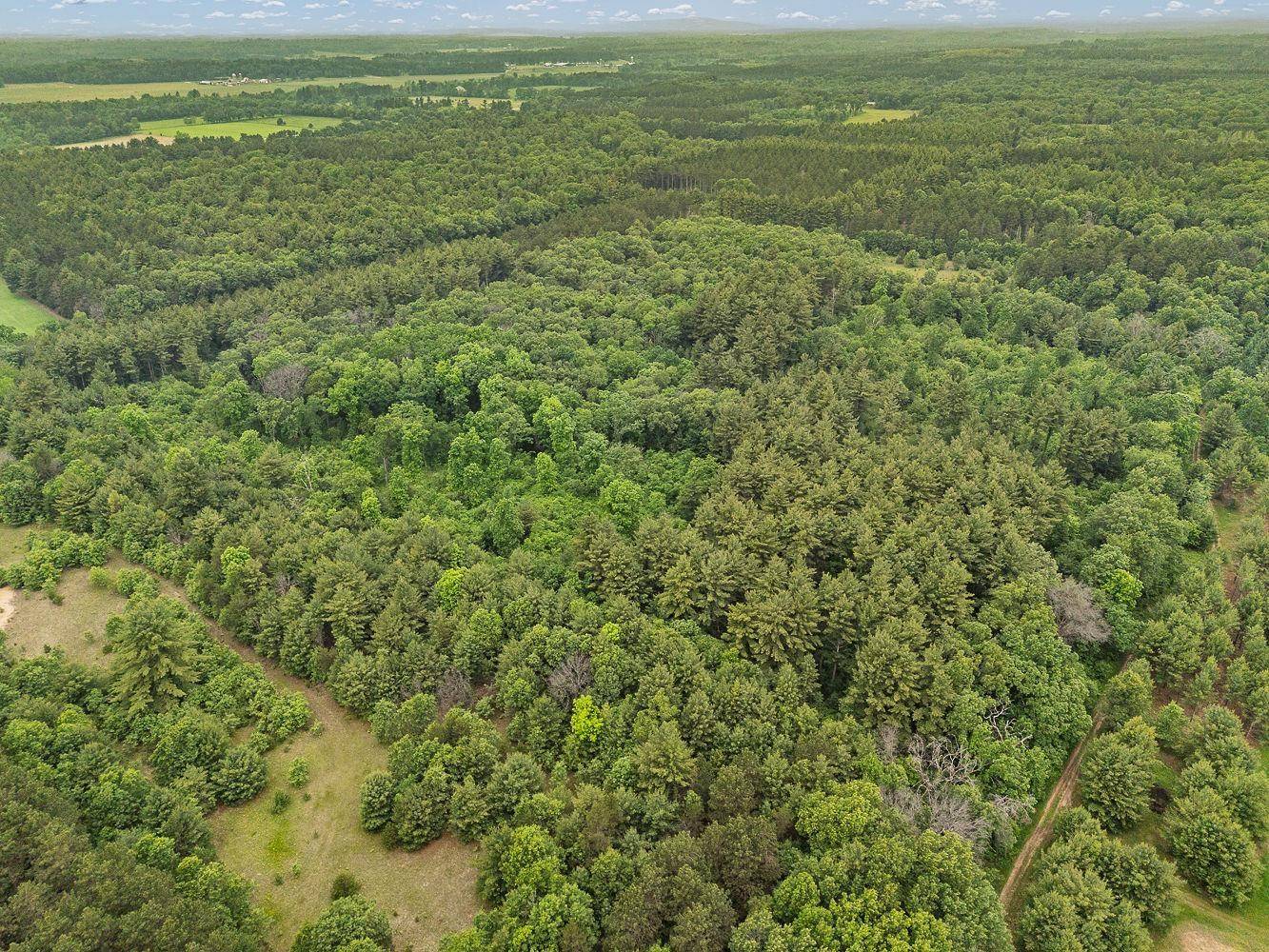 Redgranite, WI 54970,122+/-acres Happersett Lane