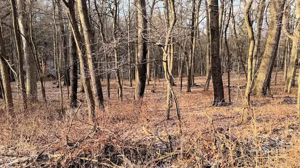 Baraboo, WI 53913,56 Redhawk Trail