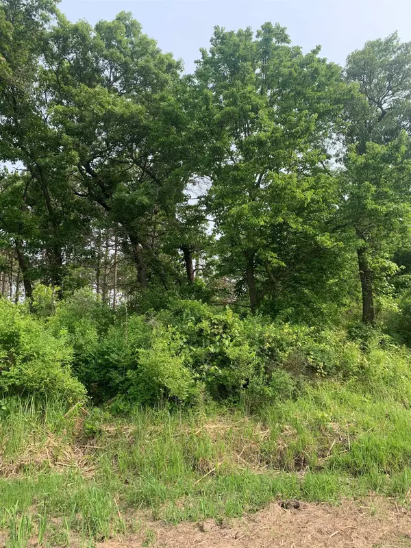 Spring Green, WI 53588,1.14 AC Flowage Road