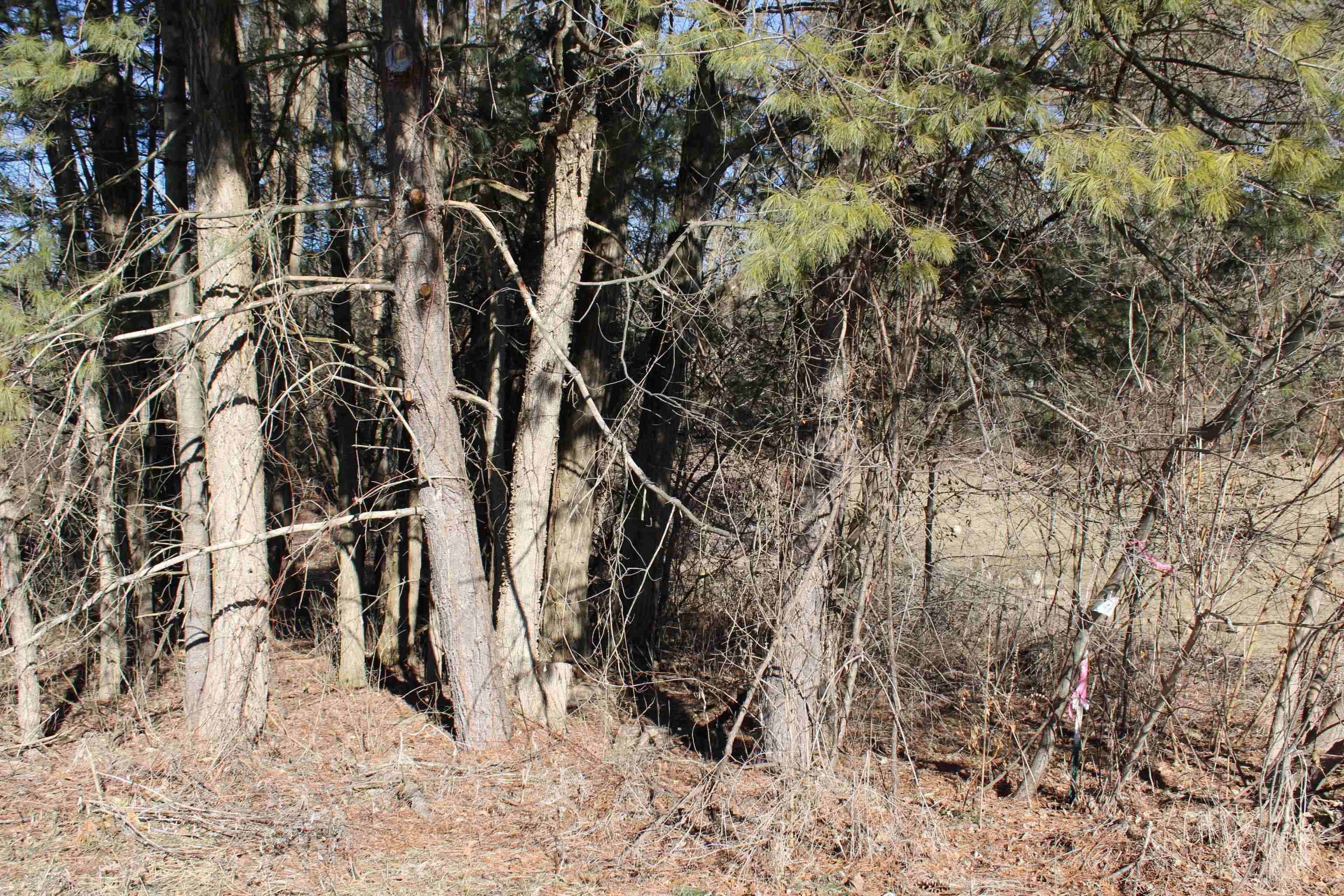 Merrimac, WI 53561,Lot 2 Church Street