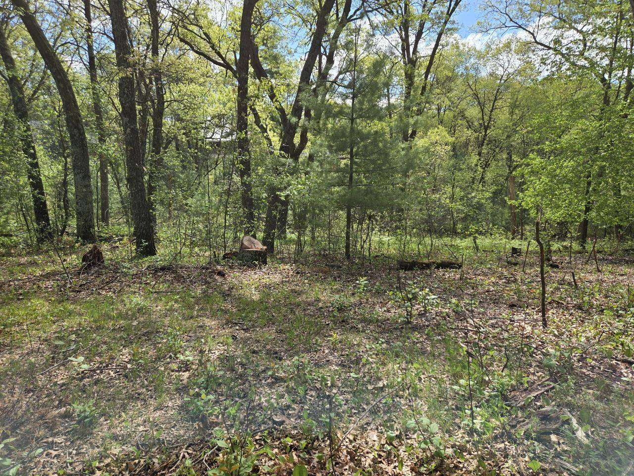 Nekoosa, WI 54457,1163 Brown Bear Trail